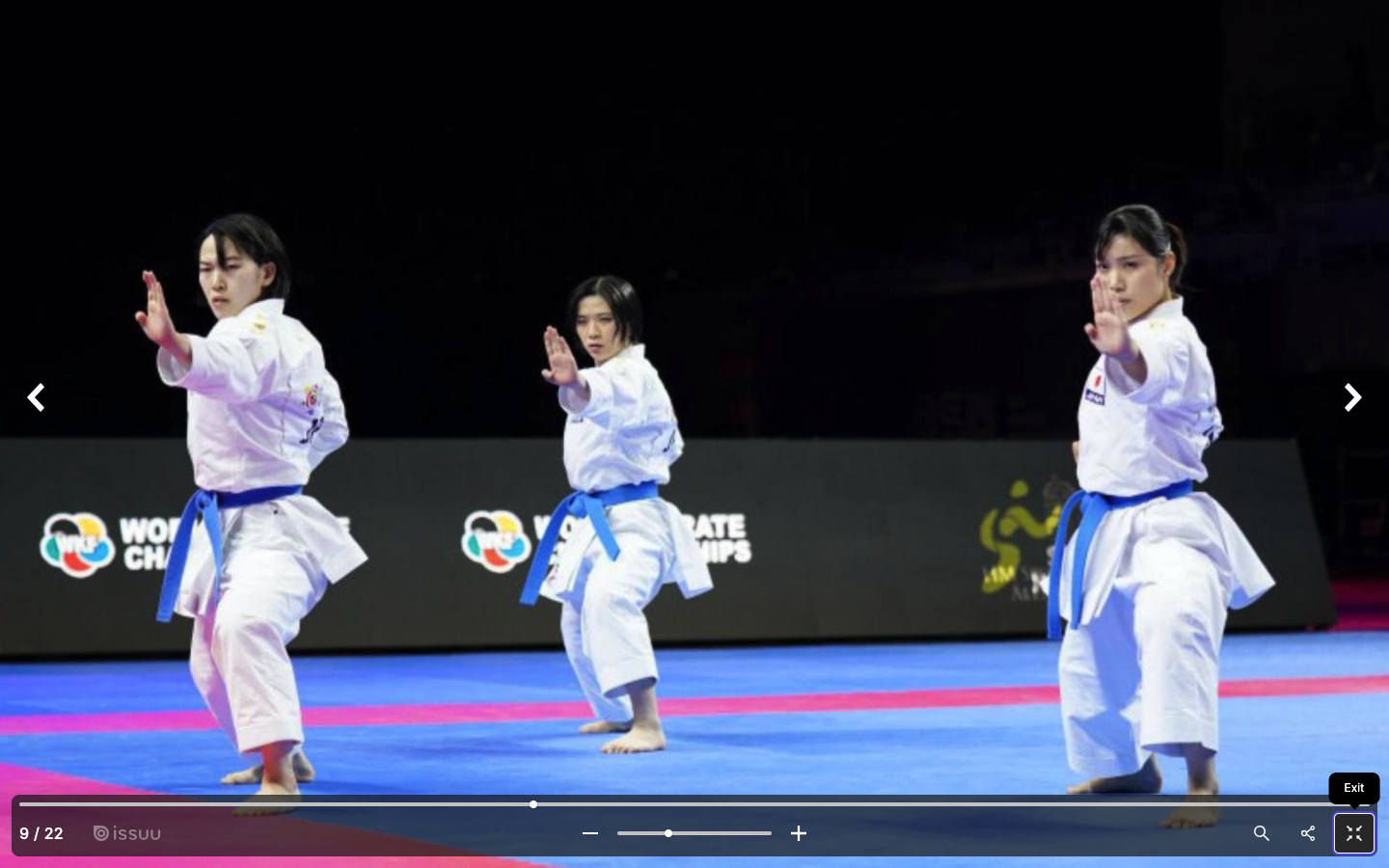 Subscribe to wkf Videos